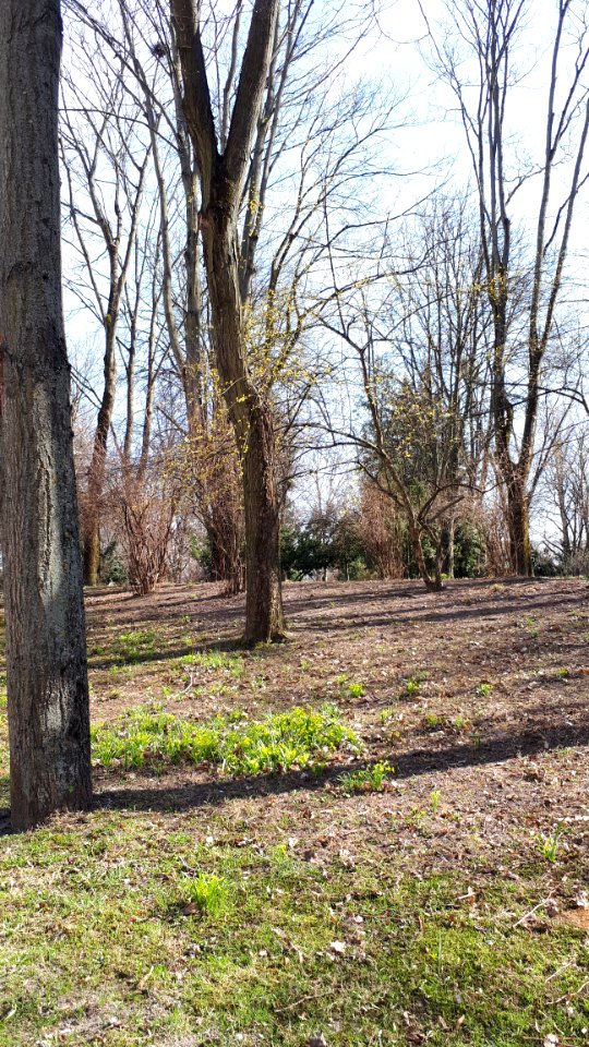 20210411_145306_Park_Centralny_in_Białystok_April_2021
