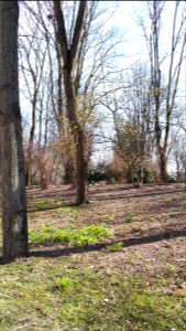 20210411_145306_Park_Centralny_in_Białystok_April_2021