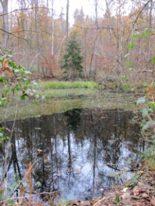 20201210Unterste_Steinbach5