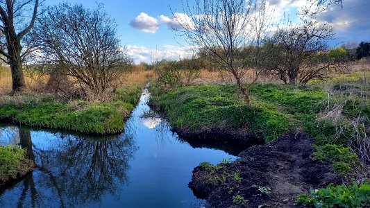 20210425_174033_Bażantarka_river_April_2021