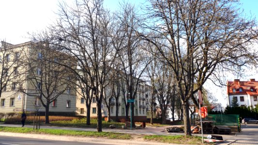 20210419_171318_Skwer_Anny_Markowej_w_Białymstoku