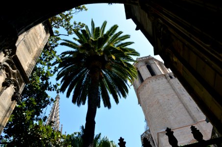 23_Barcelona_Catedral_30072016