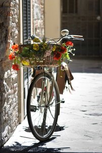 Bicycle basket ornament flowers