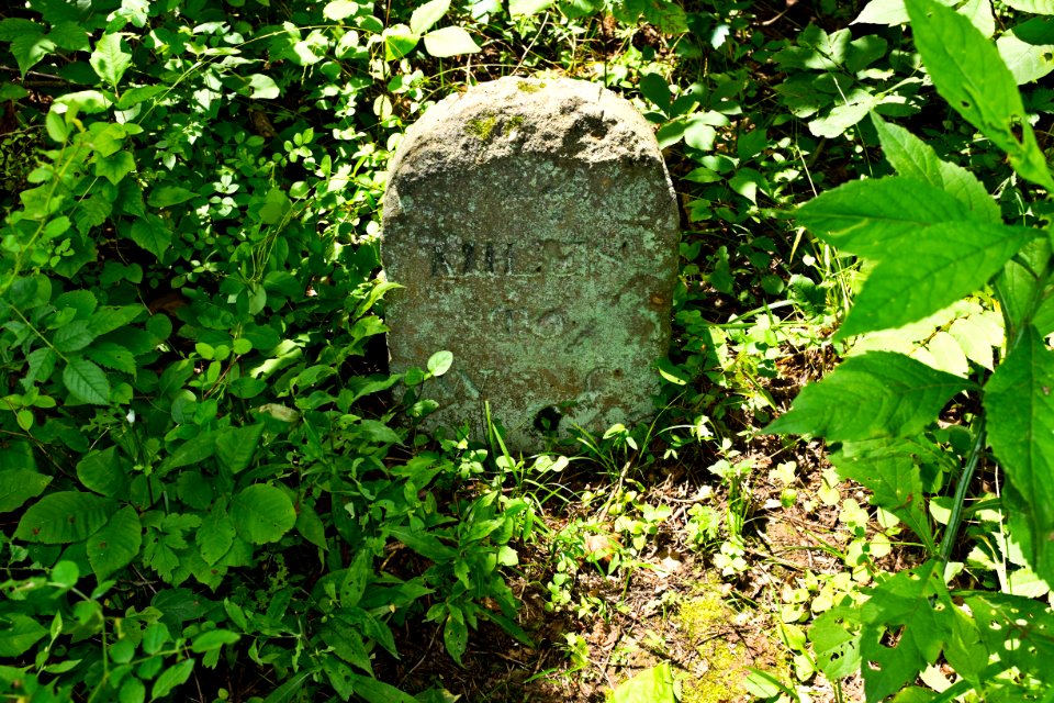 22_Mile_Marker_on_Chesapeake_and_Ohio_Canal