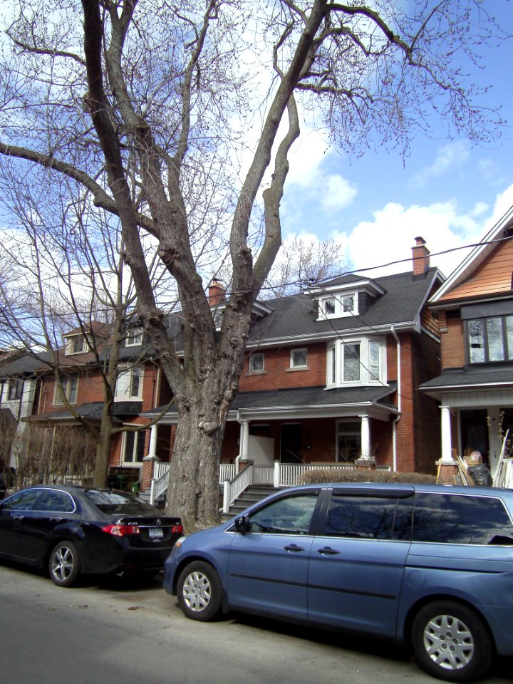 241_and_243_Albany_Ave_Annex_Toronto