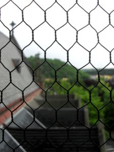 23_5_2014_NOC_KOSTELŮ_-_Kostel_sv._Alžběty_(Teplice)_(49)