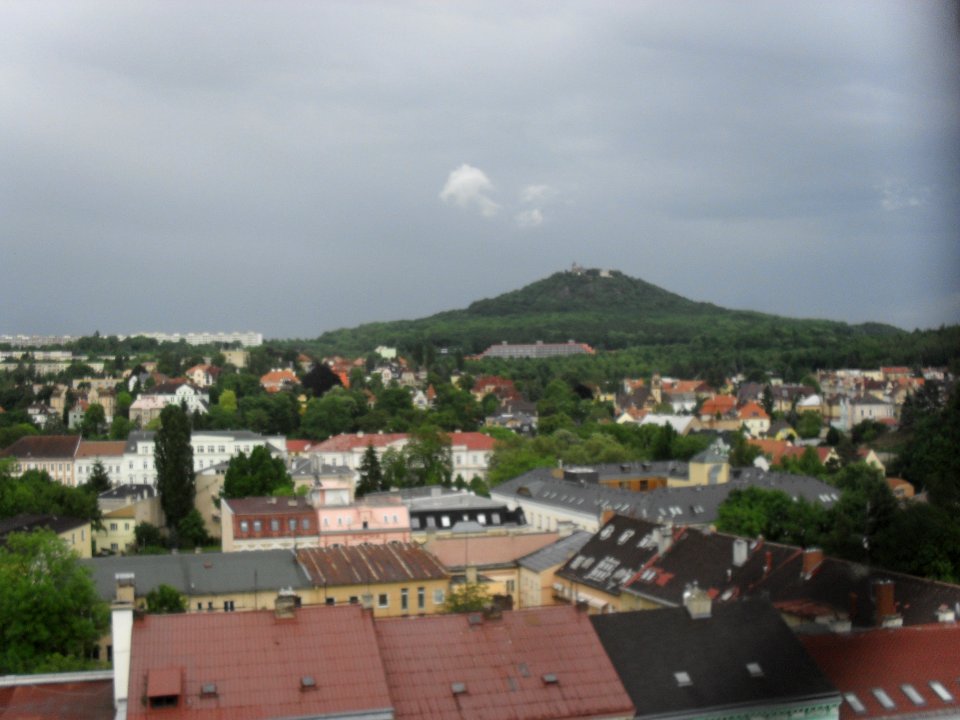 23_5_2014_NOC_KOSTELŮ_-_Kostel_sv._Alžběty_(Teplice)_(59)