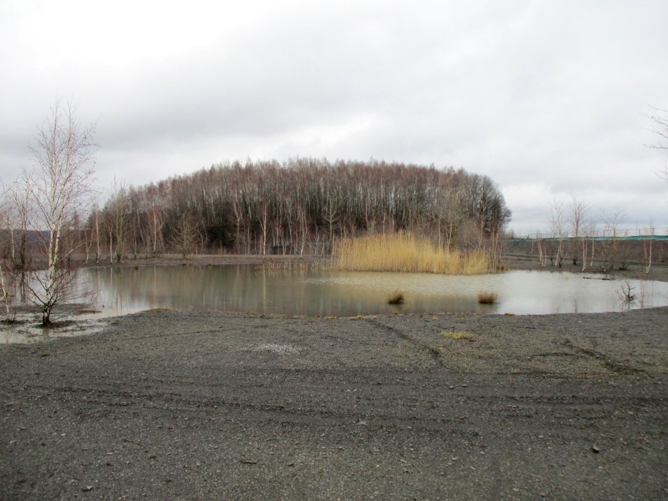 20210207Bergehalde_Lydia04