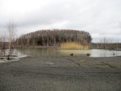 20210207Bergehalde_Lydia04
