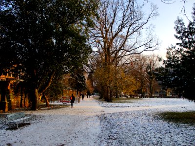 20210210Staden2