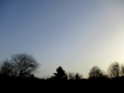 20210224Güdinger_Allmet2