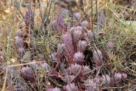 235-Parc_Cap_de_Creus