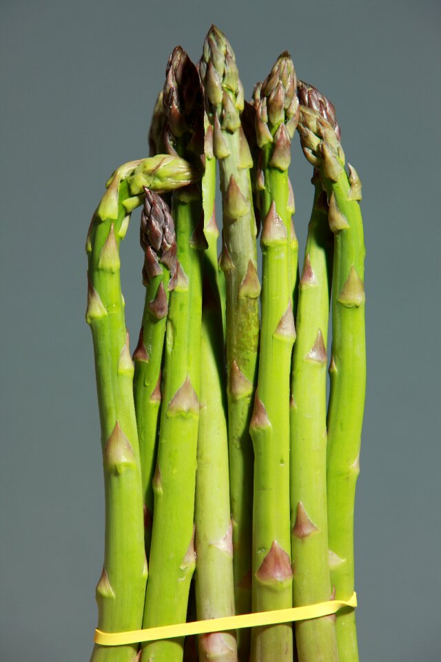 Vegetables eat healthy
