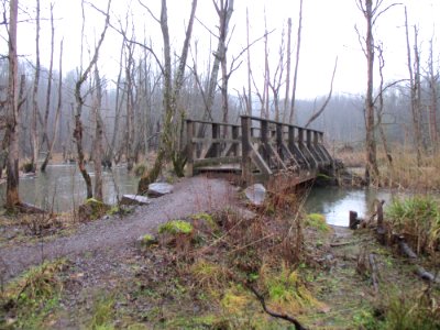 20210207Fischbach2