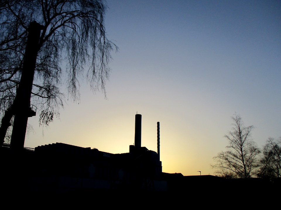 20210223Halberg_Guss
