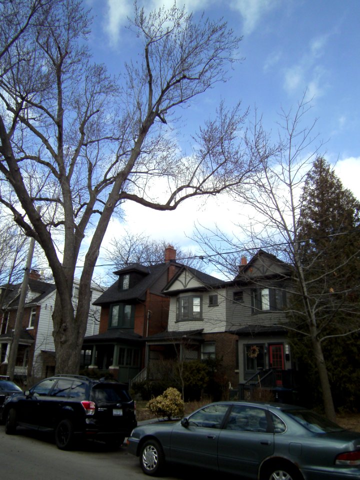 203_and_205_Albany_Ave_Annex_Toronto