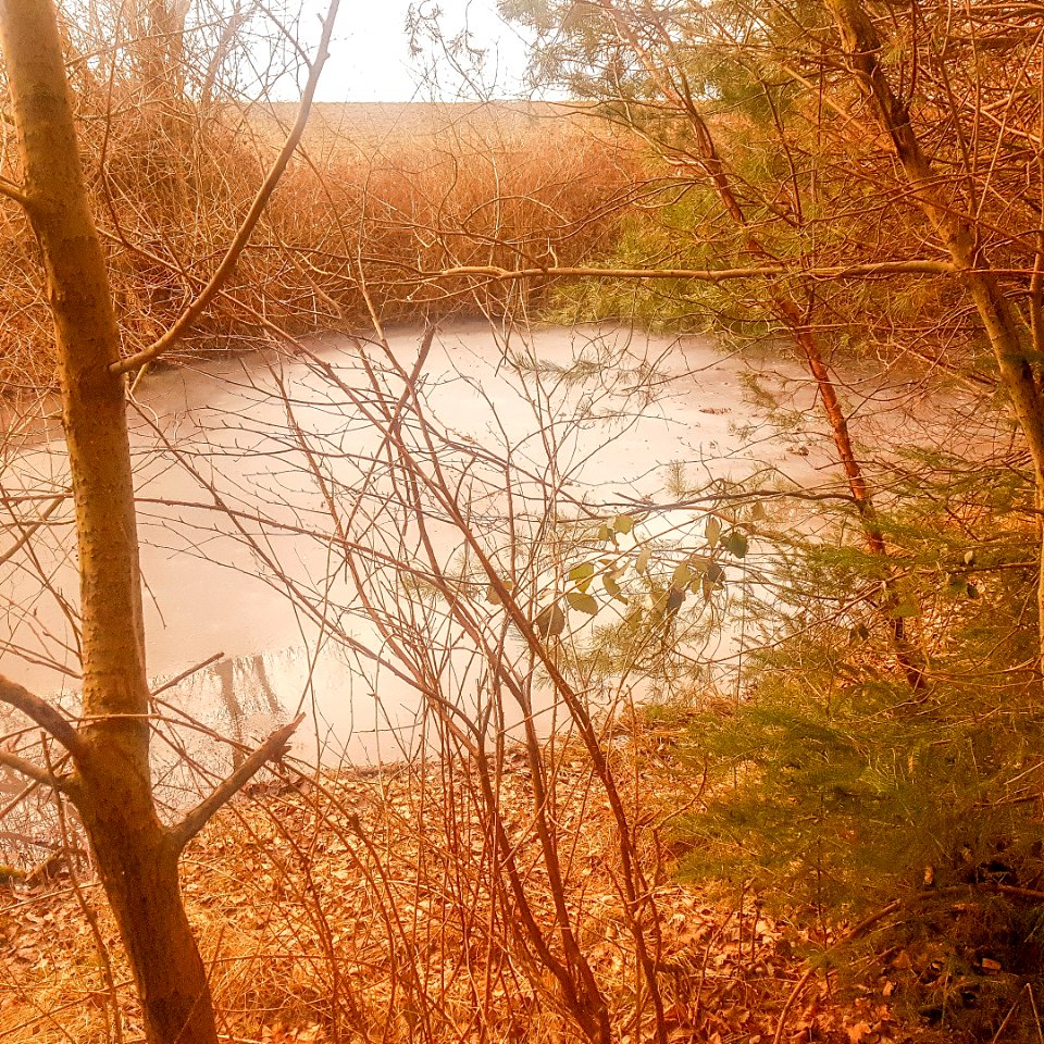 20210218_ND_Toteiskessel_Dorfen_Bgk