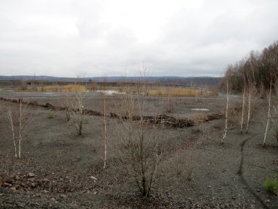 20210207Bergehalde_Lydia05