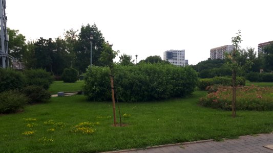 20210717_175655_July_2021_in_Białystok