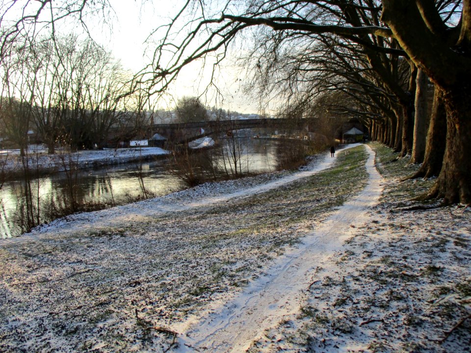 20210210Staden1