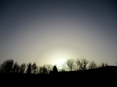 20210224Güdinger_Allmet1