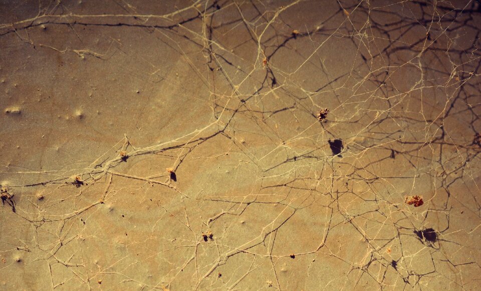 Structure close up surface