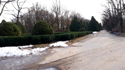 20210316_153556_Blicharski_boulevard_in_Białystok