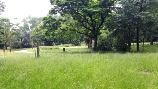 20200621_113700_Park_3_Maja_in_Łódź