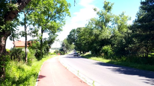 20200705_104142_Byszewy,_gmina_Nowosolna_July_2020