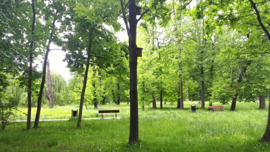 20200531_142641_Park_Źródliska_in_Łódź