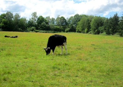 20200606Almet1