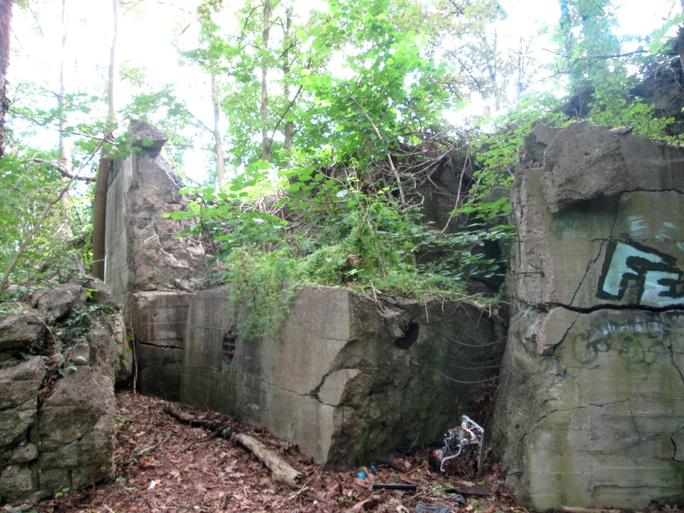 20200621Bunker_WH_309a_2