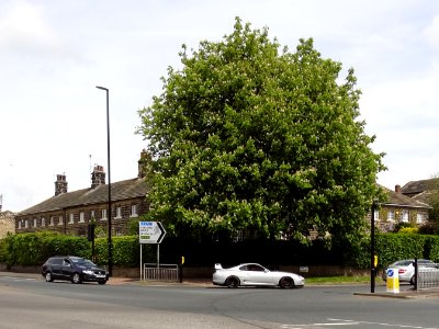 22-27,_Harrogate_Road_(see_Details_For_Further_Address_Information)