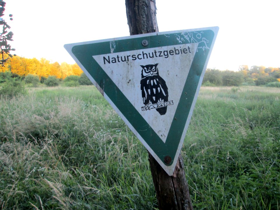 20200622St_Arnualer_Wiesen