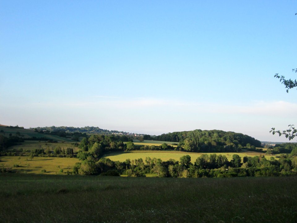 20200611Birzberg4