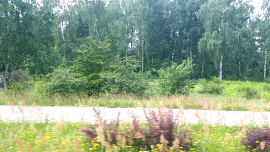 20200705_095305_Rokicińska_Street_in_Łódź