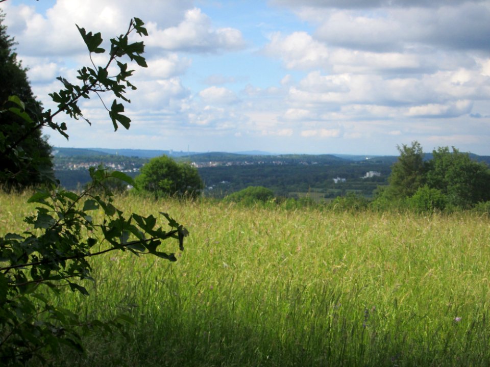 20200611Schaumberg
