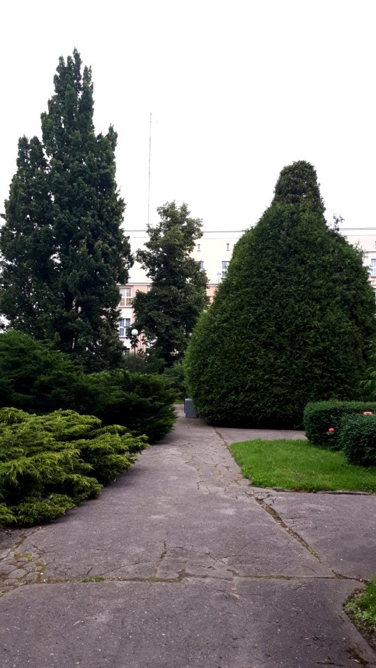 20200709_193046_Planty_(Białystok)