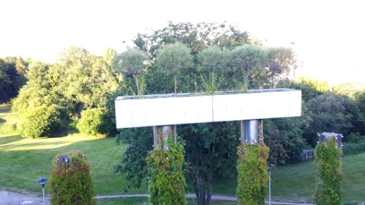 20200726_185508_July_2020_in_Białystok