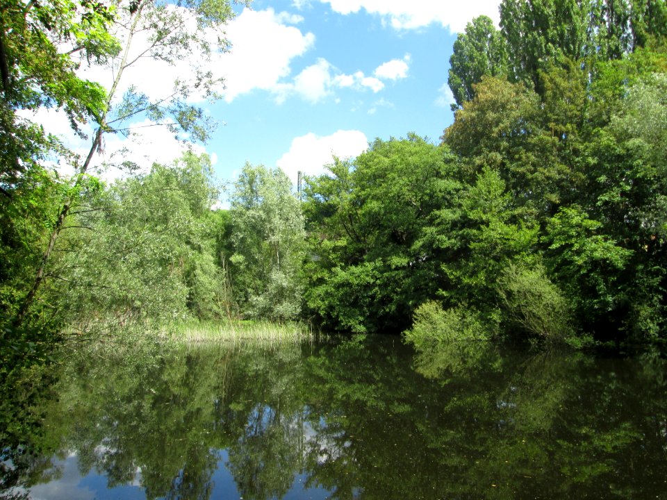 20200621Teich_St._Arnualer_Wiesen3