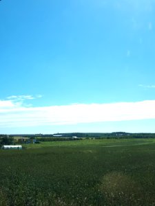 20200705_184252_2020_in_Lodz_Voivodeship