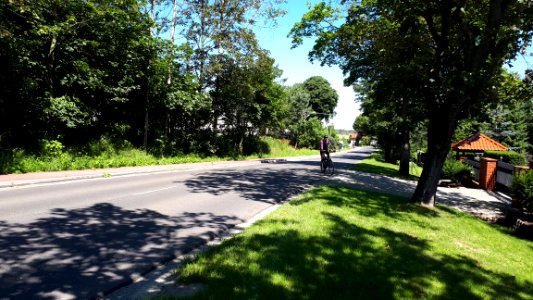 20200705_111946_Byszewy,_Łódź_Voivodeship