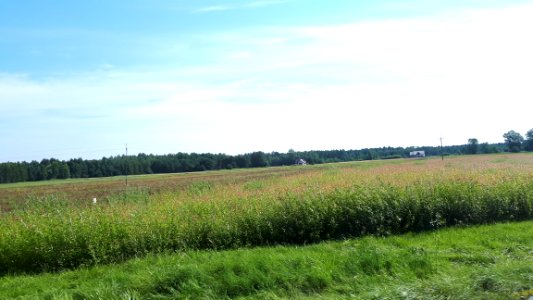 20200728_104402_Województwo_podlaskie