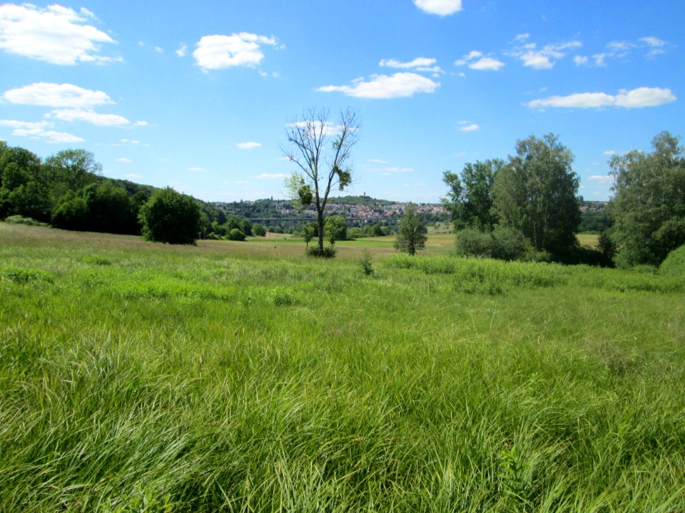 20200531Beierwies