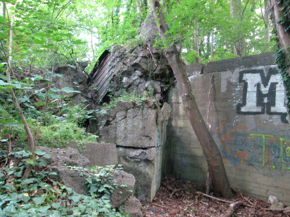 20200621Bunker_WH_309a_3