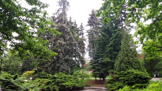 20200531_150559_Park_Źródliska_in_Łódź_May_2020