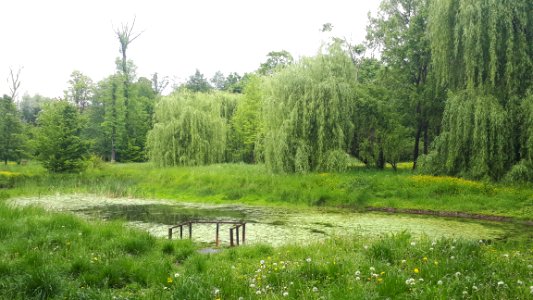 20200531_142656_Park_Źródliska_in_Łódź