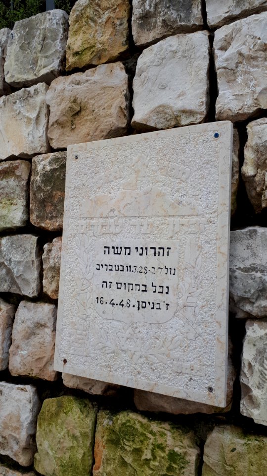 20200213_133815_2020_in_Safed