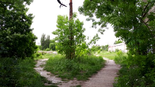 20200606_161421_June_2020_in_Łódź