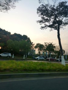2020.10_Binhu,_Wuxi_无锡滨湖区街景_05
